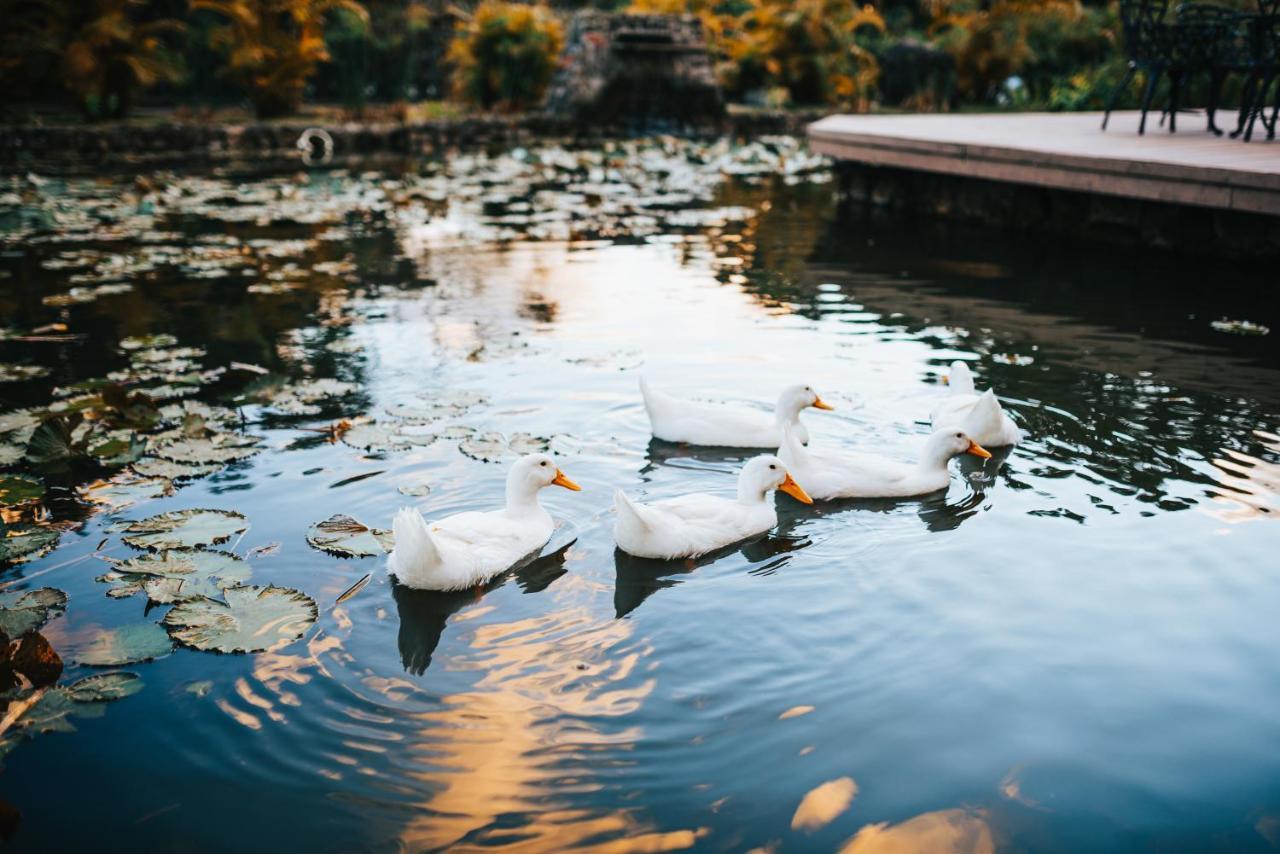 Los Mandarinos Boutique Hotel & Spa El Valle de Anton Dış mekan fotoğraf